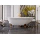 Special Freestanding Bathtub |BAT-BF5-77